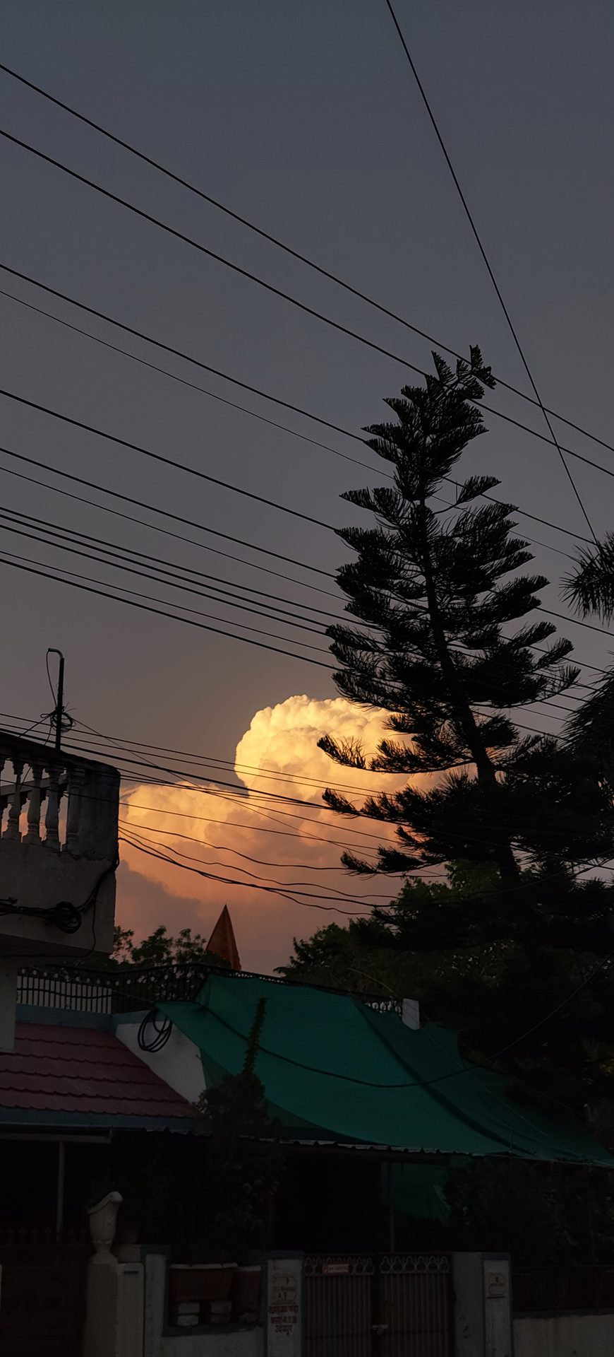 Cinematography still 15 by Harshit Sharma — Vertical Frame, Candid Presence, Available Light