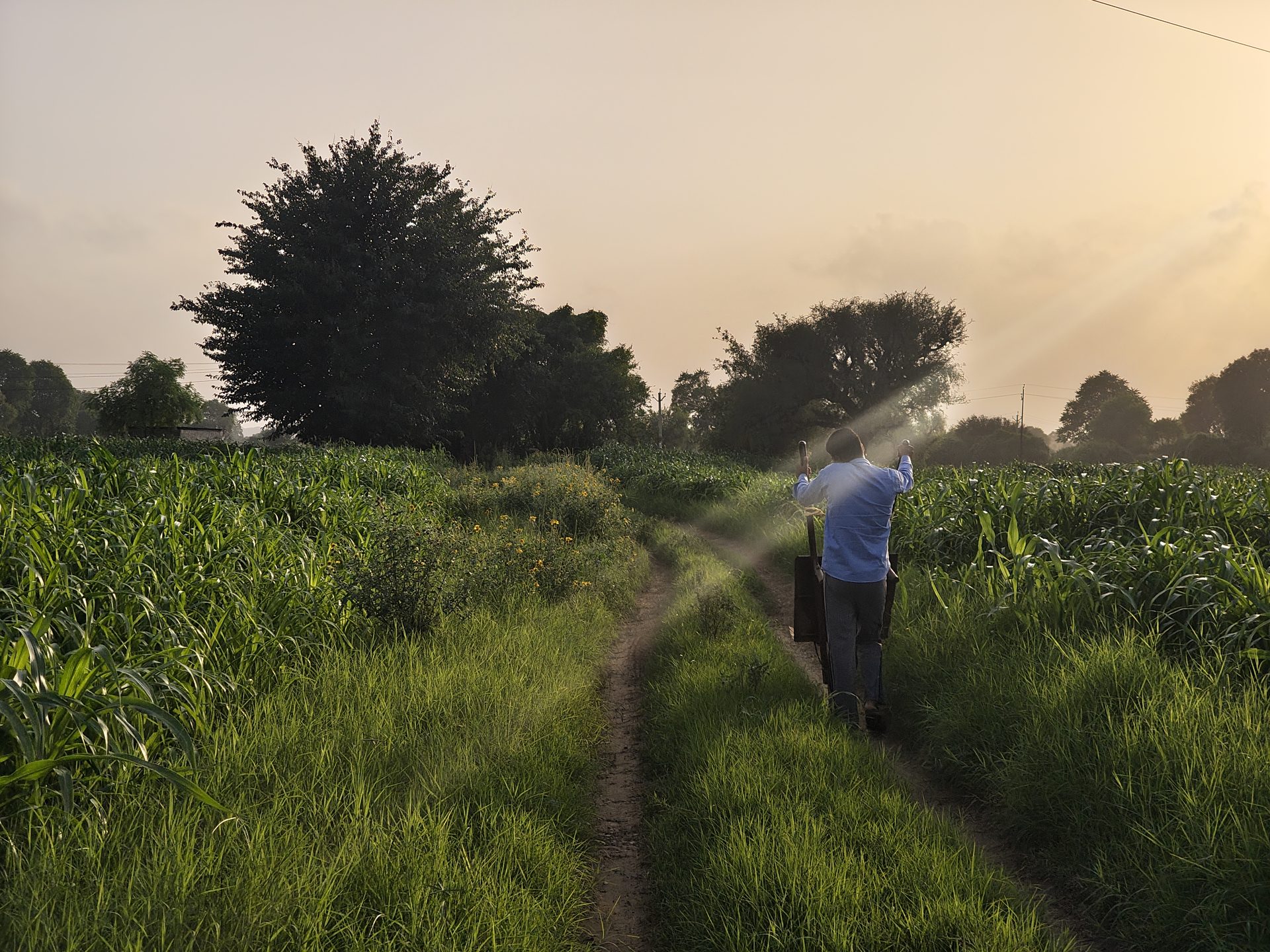 Cinematography still 16 by Harshit Sharma — Cinescope, Environmental, Atmospheric Light