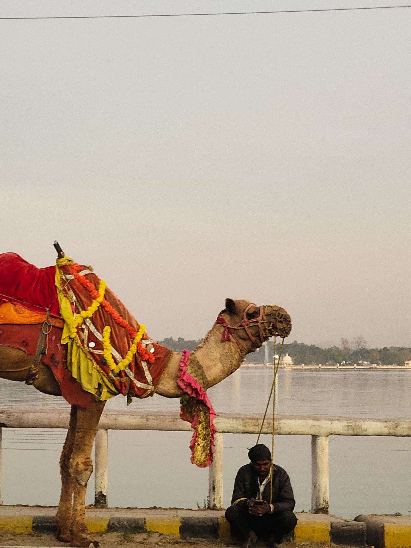 Cinematography still 20 by Harshit Sharma — Vertical Frame, Candid Presence, Available Light