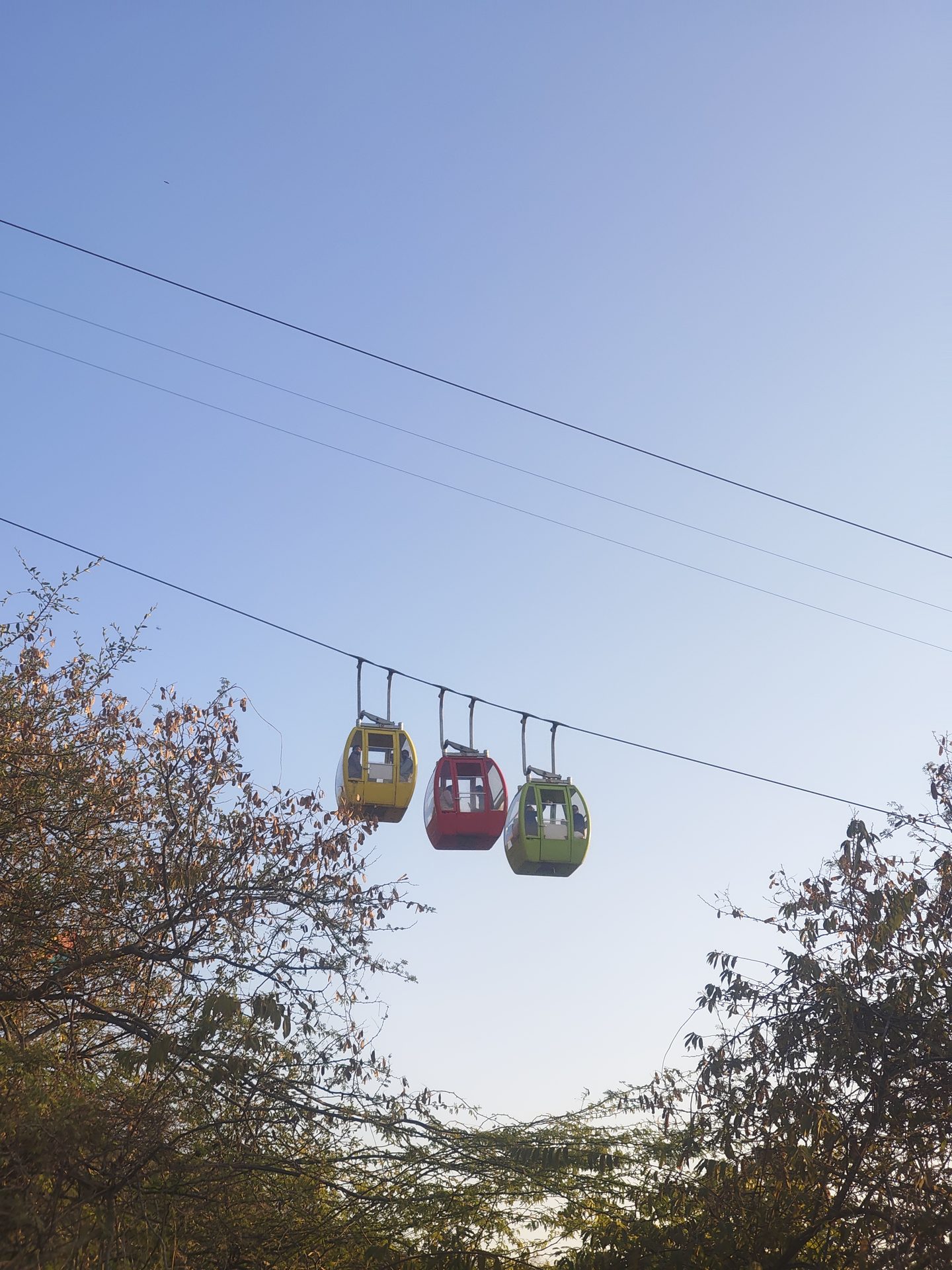 Cinematography still 30 by Harshit Sharma — Vertical Frame, Candid Presence, Available Light