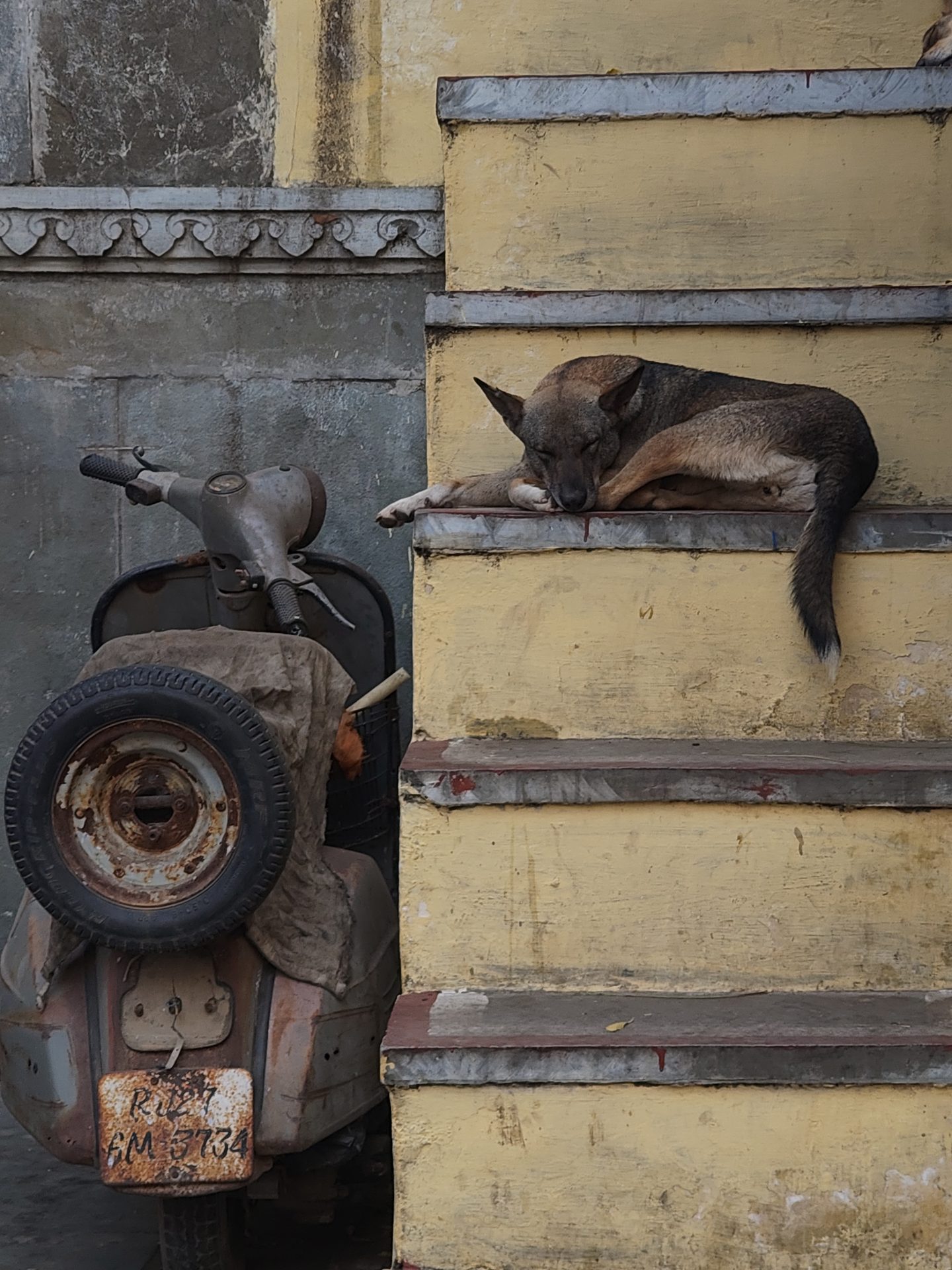 Cinematography still 34 by Harshit Sharma — Vertical Frame, Candid Presence, Available Light