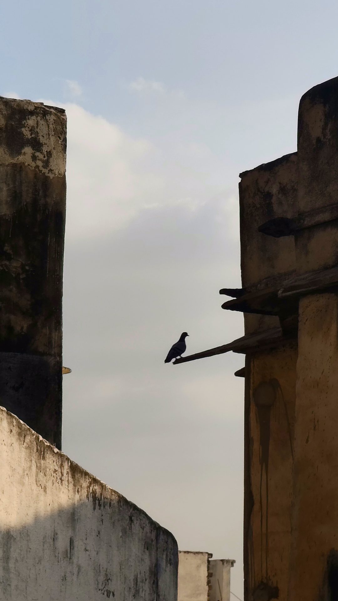 Cinematography still 52 by Harshit Sharma — Vertical Frame, Candid Presence, Available Light