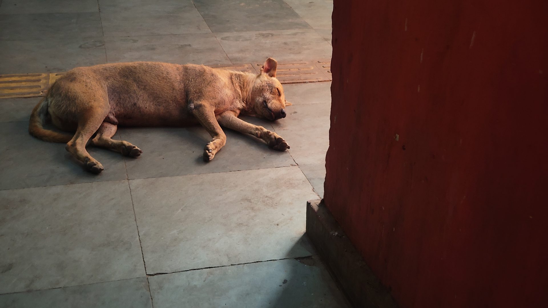 Cinematography still 56 by Harshit Sharma — Cinescope, Environmental, Atmospheric Light
