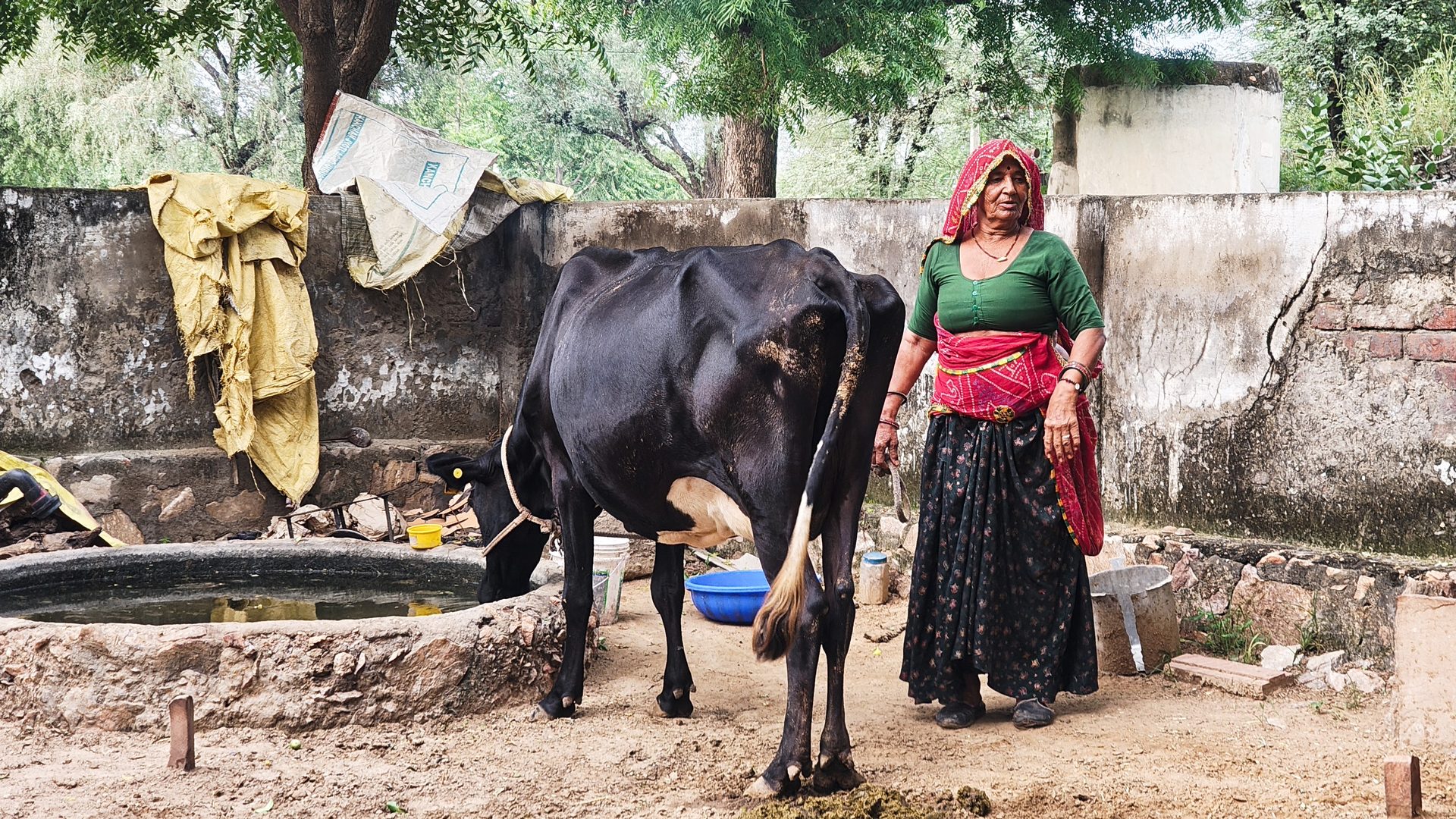 Cinematography still 57 by Harshit Sharma — Cinescope, Environmental, Atmospheric Light