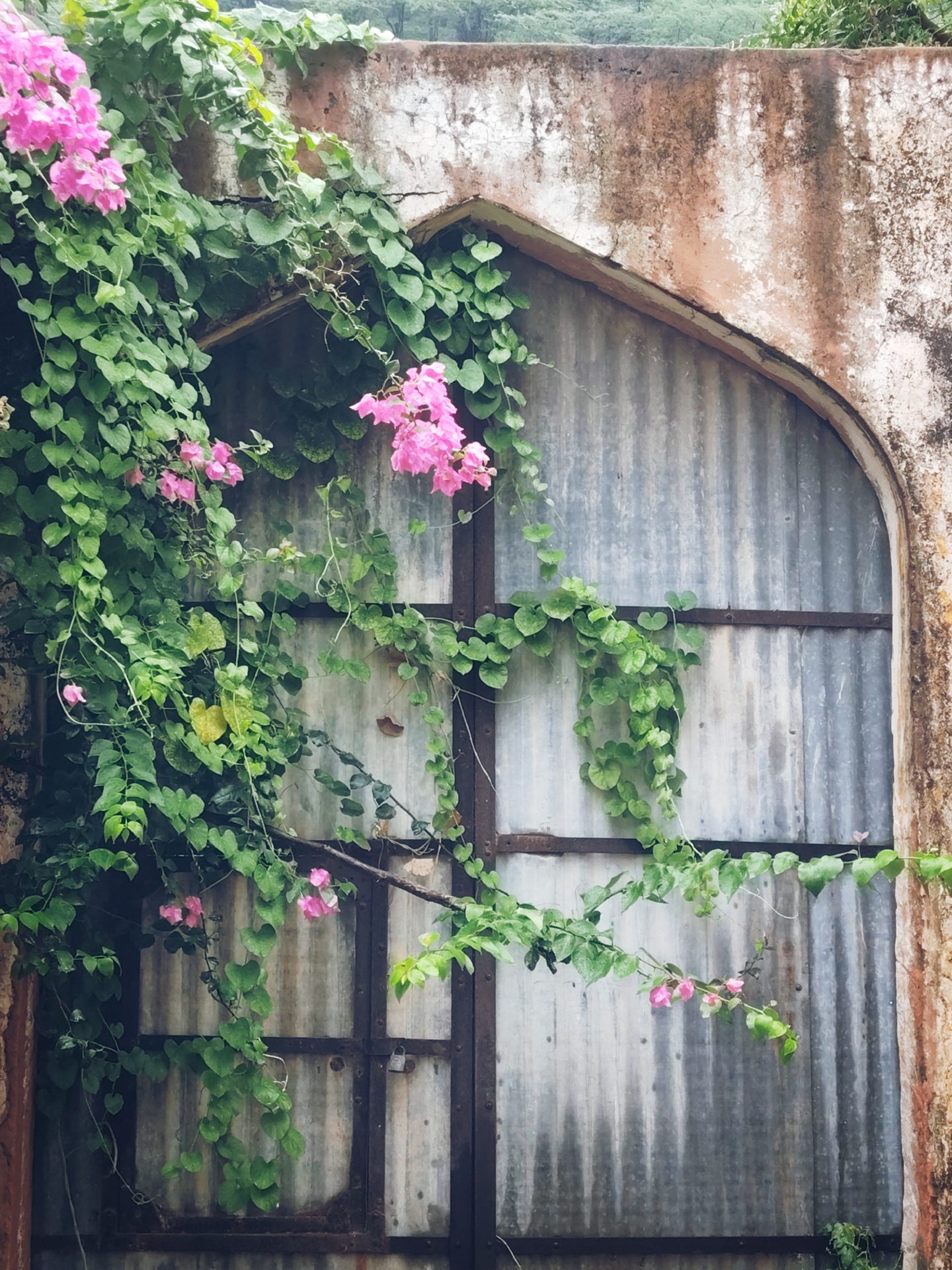 Cinematography still 78 by Harshit Sharma — Visual Research, Mood Texture, Color Script